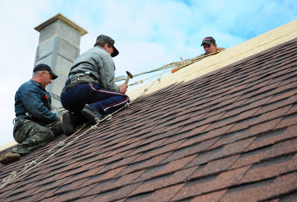 Best Roof Repair Services  in Apple Mountain Lake, VA